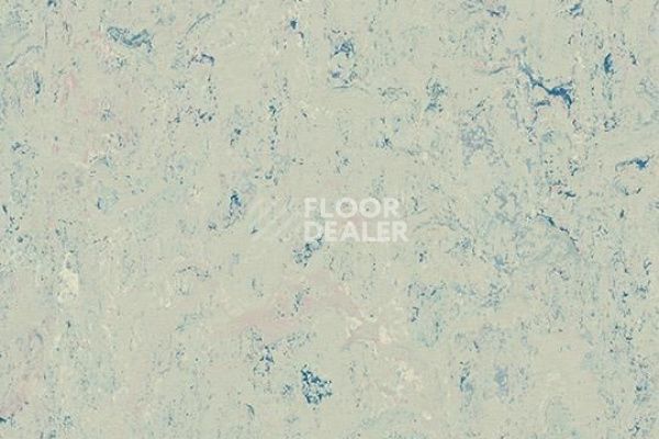 Линолеум Marmoleum Decibel on Order 342935 bluemoon фото 1 | FLOORDEALER